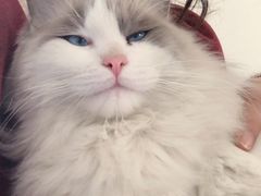 -破壳(万达广场店)