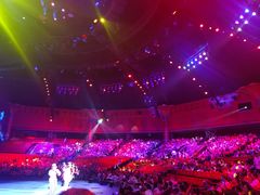 -珠海横琴长隆《卡卡虎奇遇记》