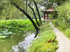 -近春园遗址