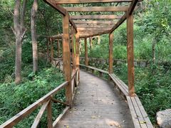 -大岭沟猕猴桃谷风景区