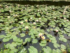 -艾溪湖湿地公园