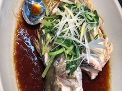 -鑫悦诚府·新鲁菜·餐厅(趵突泉店)