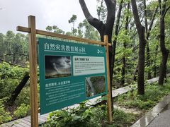 -同里国家湿地公园