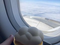 一朵白云-麦当劳(禄口机场T2航站楼)