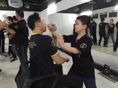 -温鉴良实用咏春拳