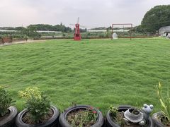 -美家乐农庄·露营·团建(大治路店)