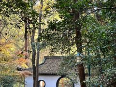 -宝石山