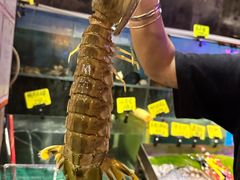 -辉记炭烧海鲜大排档·老字号(福田店)
