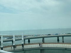 -演武大桥观景平台