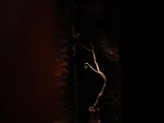 -见山茶事(丽水路店)