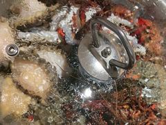 -海玥荟海鲜姿造自助餐厅(欧罗巴广场店)