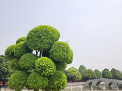 -建水文庙
