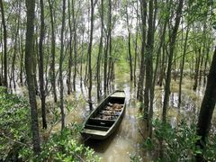 -东寨港红树林旅游区