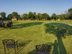 -桃园农庄·桃源宴