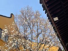 -龙华寺