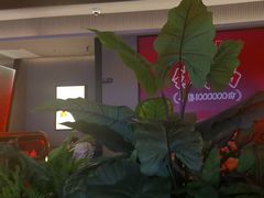 -辛香汇·现炒川菜(城北万象城店)