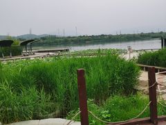 -永定河休闲森林公园