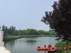 -大兴滨河森林公园