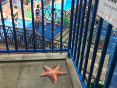 -青岛东方影都融创水世界