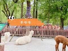 -上海野生动物园