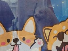 -芭比堂动物医院·心脏科·老年急重症·夜诊·吉雅分院