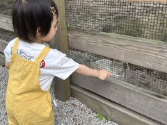 -广州锦绣香江度假别墅