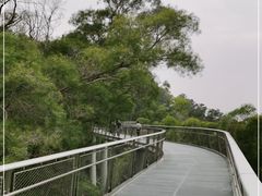 -仙岳公园