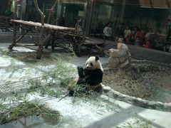 -西安秦岭野生动物园