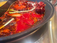 -朱光玉火锅馆(正弘城店)