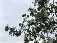 -南丹山森林王国