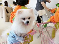 -怪兽屋·羊驼·猫咖·狗咖(俊华广场店)