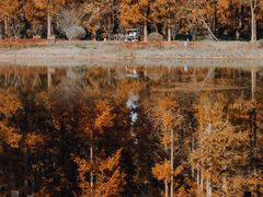 -黄海国家森林公园