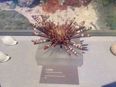 -中国（海南）南海博物馆