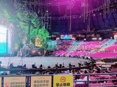 -广州长隆国际大马戏