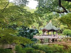 -申粤轩酒楼·三十年粤菜经典(丁香花园店)