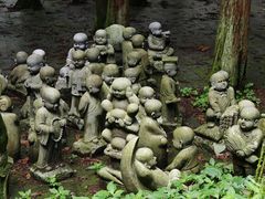 -武陵山森林公园