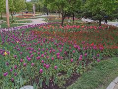 -长春公园(普阳街道)