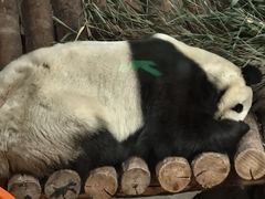 -青藏高原野生动物园