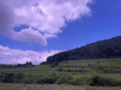 -雪绿茶博物馆