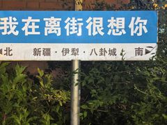 -特克斯八卦城