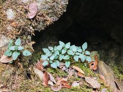 -百漈沟生态旅游景区
