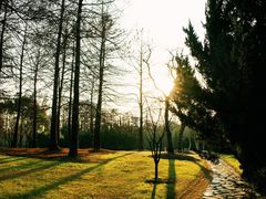 -上海滨江森林公园