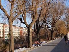 -长春市南湖公园