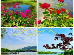 -长广溪湿地公园