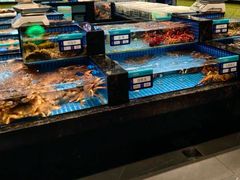 -东海怡品海鲜豆捞(舟宿夜江店)