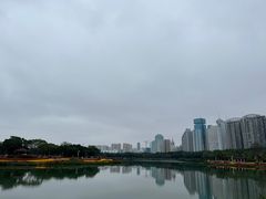 -万绿园