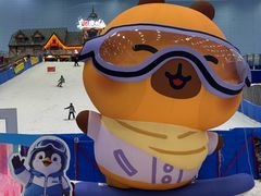 -广州热雪奇迹