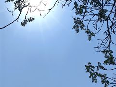 -海荣锅贴馆(五味十字店)