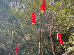 -杭州西湖风景名胜区-三生石