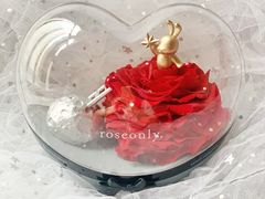 -ROSEONLY诺誓(广州K11店)